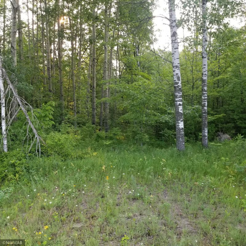TBD 317th Ave, Cass Lake, MN 56633