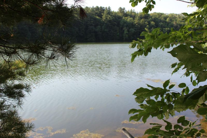 N960 Kegama Rd, Sarona, WI 54870
