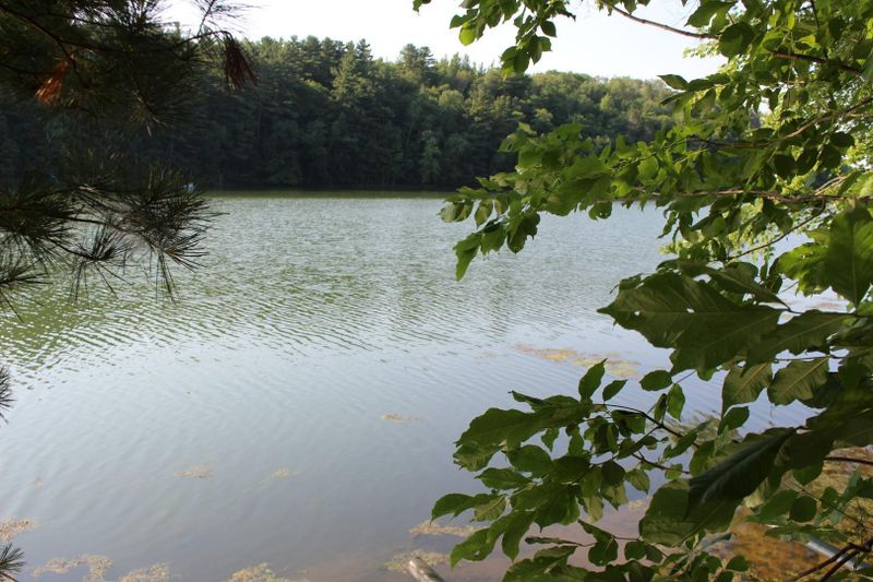 N960 Kegama Rd, Sarona, WI 54870