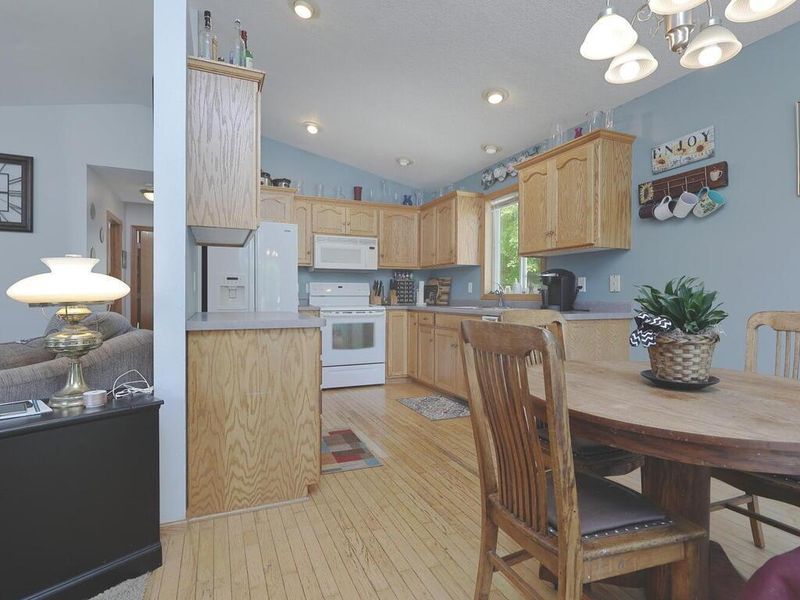 110 Century Ln, Silver Lake, MN 55381