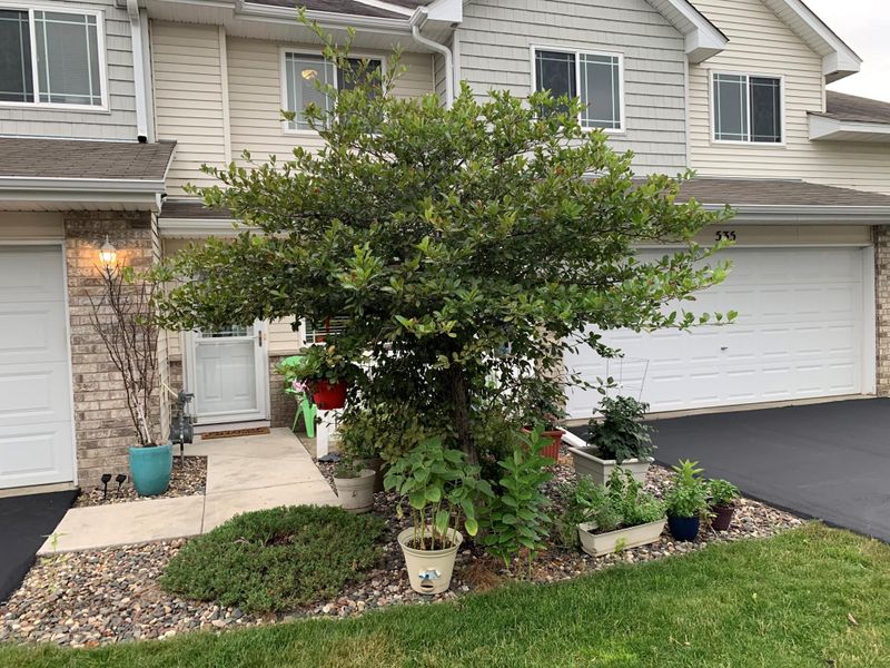 539 French Ln, Dundas, MN 55019