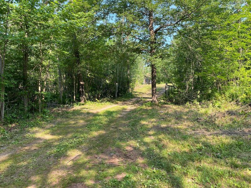 39739 Old Ramsey Rd, Pine River, MN 56474
