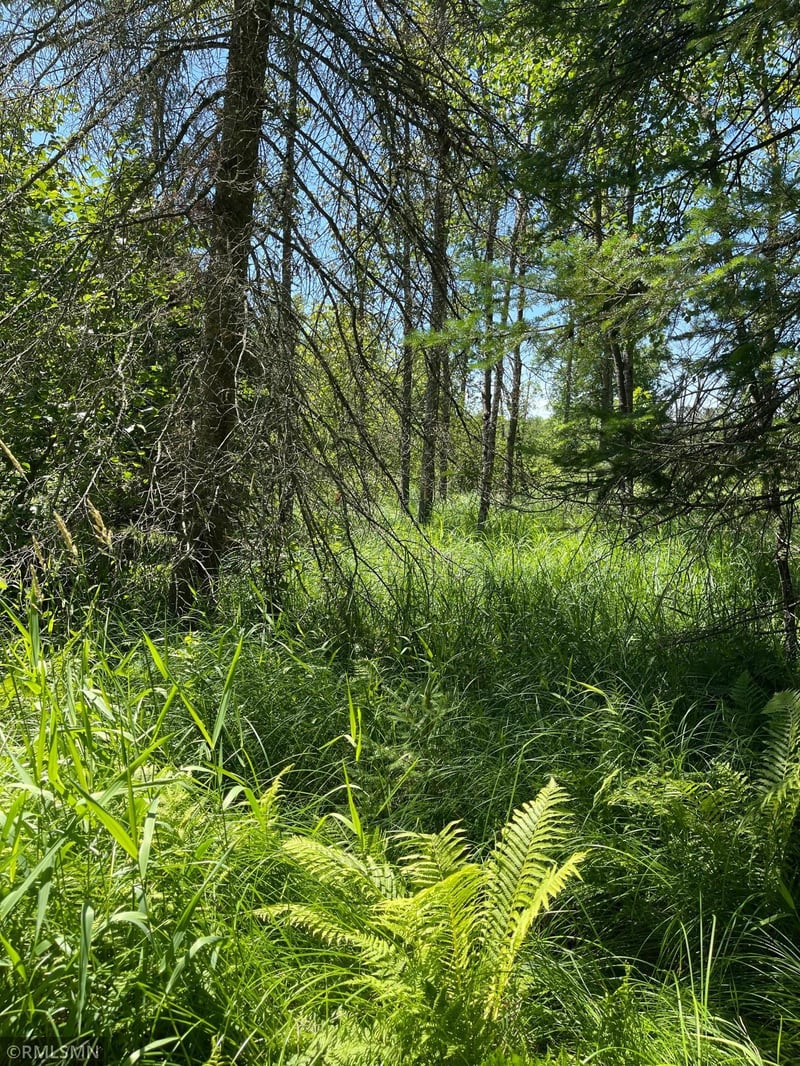 TBD 70th St NE, Remer, MN 56672