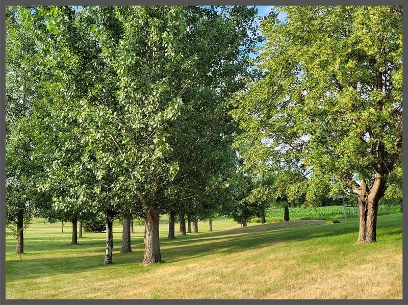 231 NE 57th Ave NE, Willmar, MN 56201