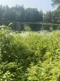 TBD Marble Dr, Cushing, MN 56443