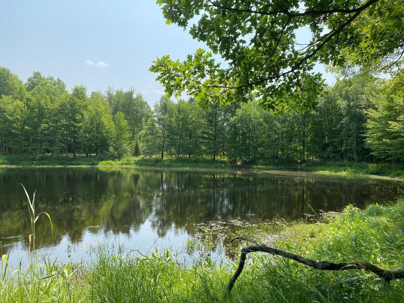 00 375th Ave, Sandstone, MN 55072