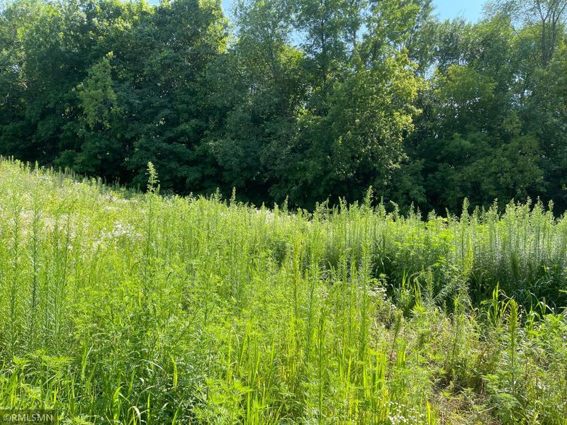 18044 Independence Ave, Faribault, MN 55021