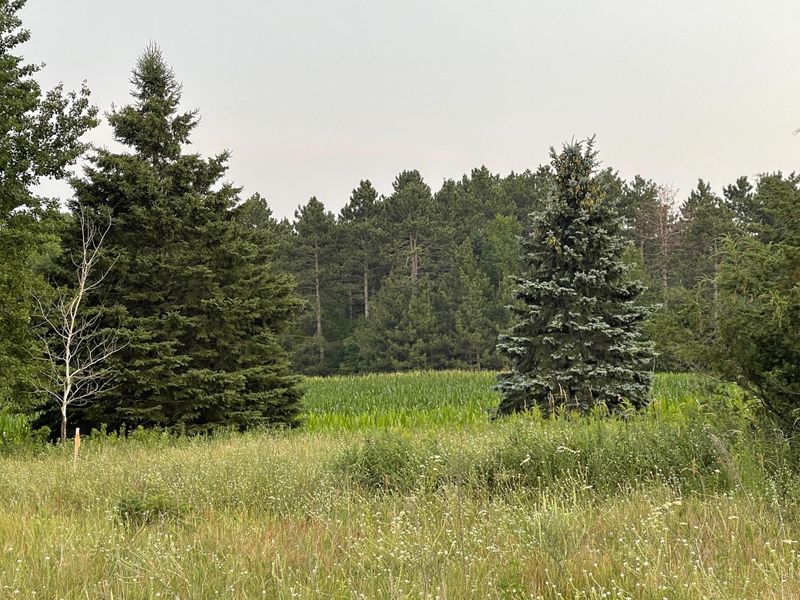 12xx 229th Ave NW, Oak Grove, MN 55005