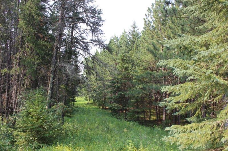 xxx County 4, Park Rapids, MN 56470