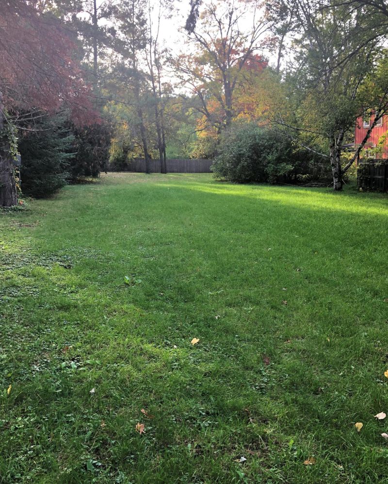 TBD Spruce St, Pequot Lakes, MN 56472