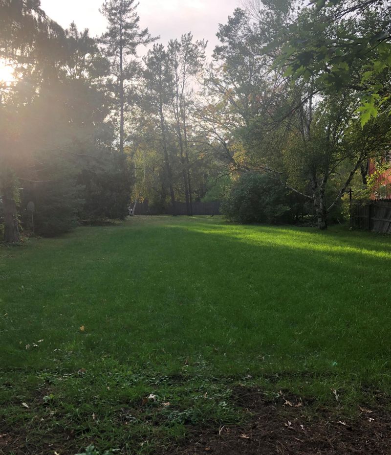 TBD Spruce St, Pequot Lakes, MN 56472
