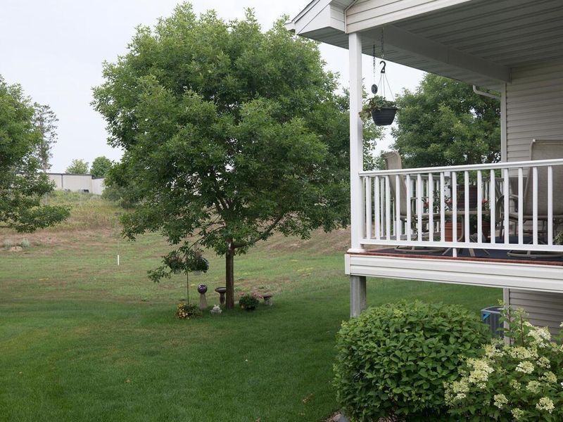 11677 Spruce Dr, Monticello, MN 55362