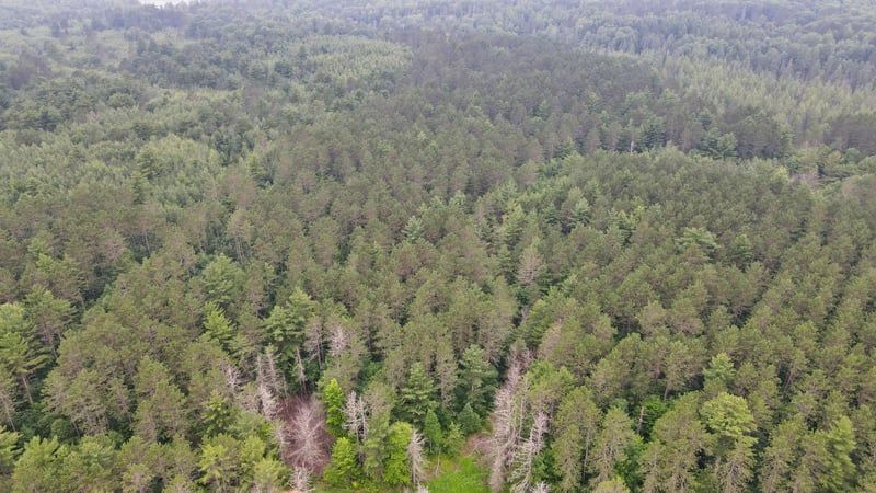 XXX S Shore Rd, Couderay, WI 54828