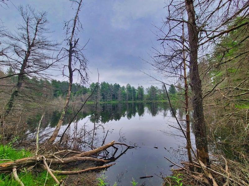 XXX S Shore Rd, Couderay, WI 54828