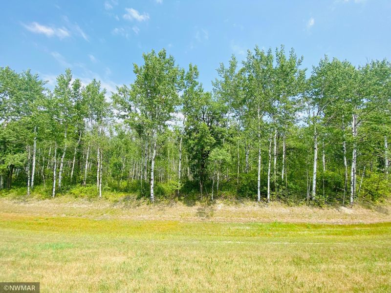 000 140th St NE, Thief River Falls, MN 56701