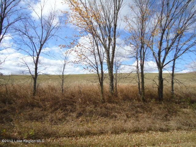 xxxx Pleasant Lake Rd, Underwood, MN 56586