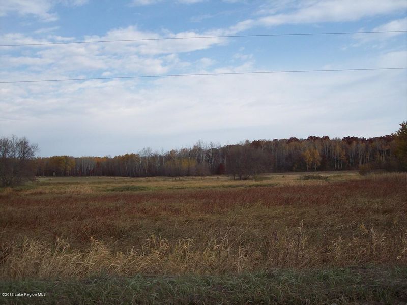 XXXXX Leaf River Rd, Wadena, MN 56482