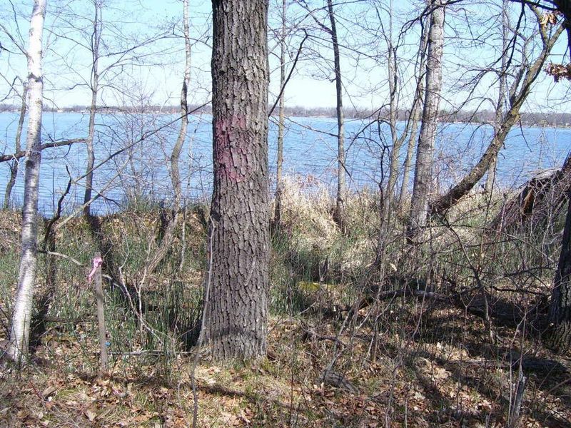 XXXXX Hidden Rd, Ottertail, MN 56571