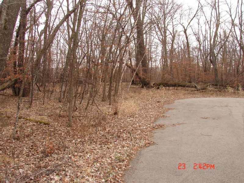 LOT 6 Chippewa Rd, Henning, MN 56588