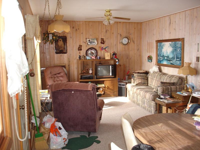 36302 N Silver Lake Rd, Battle Lake, MN 56515
