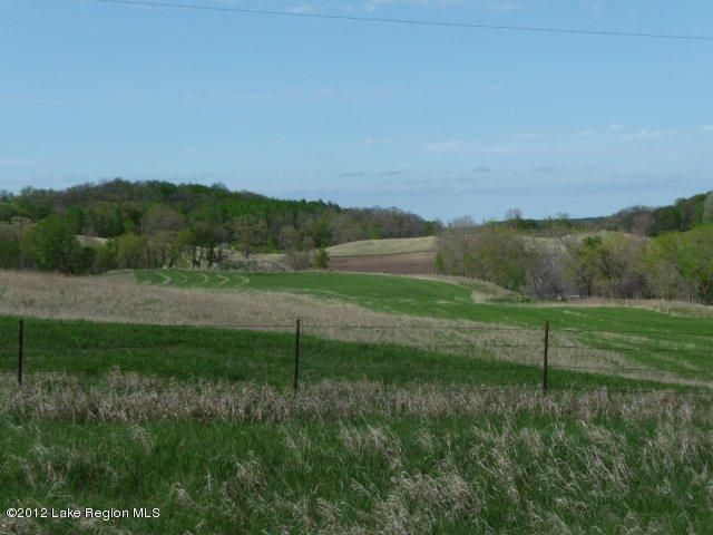 0 County 24 Rd, Erhard, MN 56534
