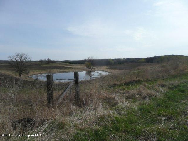 21700 Lost School Rd, Henning, MN 56551