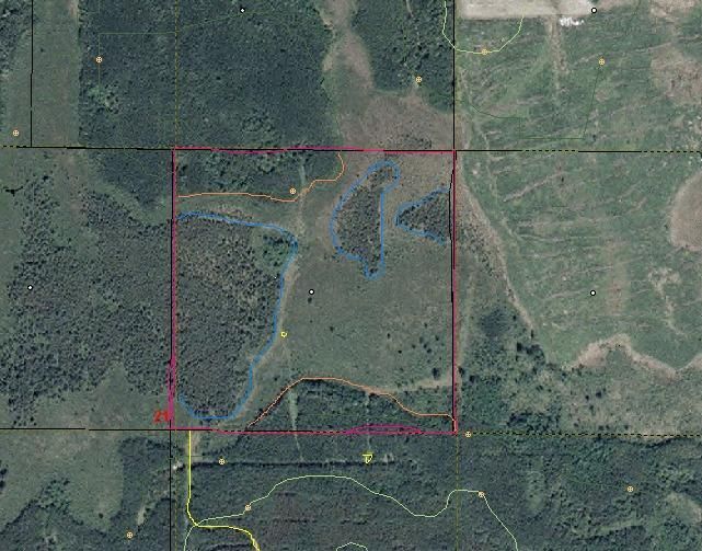 xxx Easement Rd, Staples, MN 56479