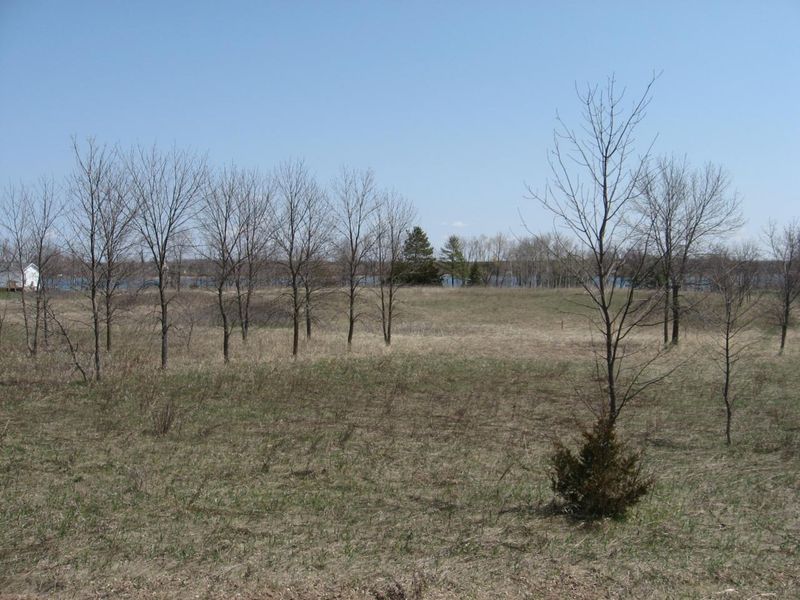 00000 Crappie Trl, Underwood, MN 56586
