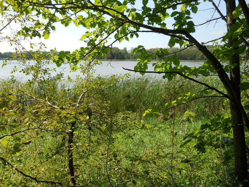 00 478th Ave, Parkers Prairie, MN 56361
