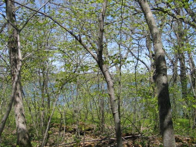 00 Wildwood Rd, Ashby, MN 56309