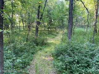 Xxx Ferncliff Rd, Clitherall, MN 56524