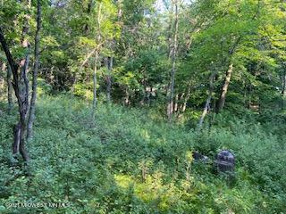 Xxx Ferncliff Rd, Clitherall, MN 56524