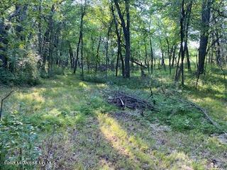 Xxx Ferncliff Rd, Clitherall, MN 56524