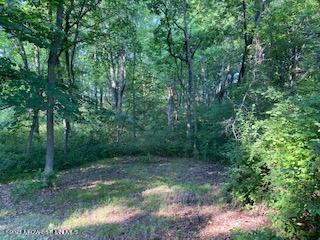 Xxx Ferncliff Rd, Clitherall, MN 56524