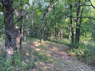 Xxx Ferncliff Rd, Clitherall, MN 56524