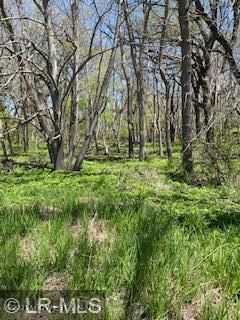 Xxx Swan View Rd, Fergus Falls, MN 56537