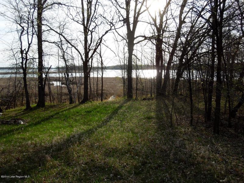 34xxx Twin Island Ln, Dent, MN 56528