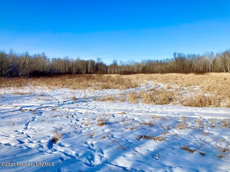 Xxxx 480th Ave, Henning, MN 56551