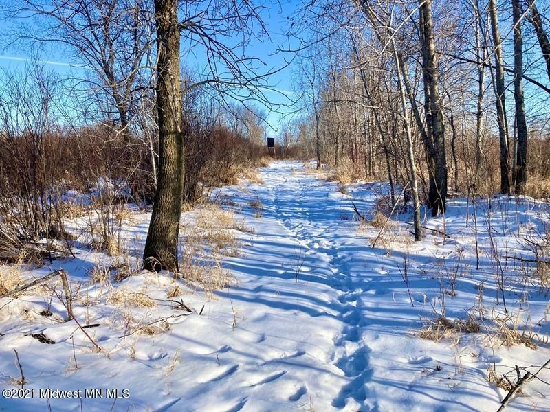 Xxxx 480th Ave, Henning, MN 56551