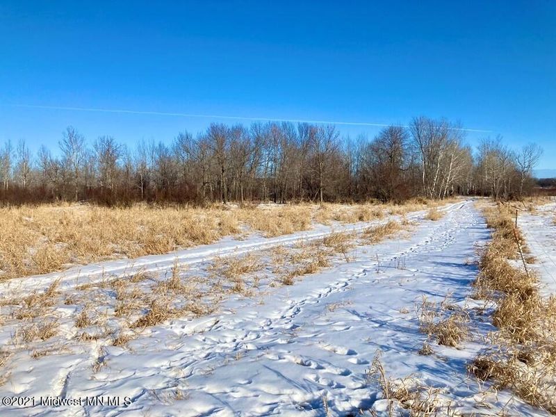 Xxxx 480th Ave, Henning, MN 56551