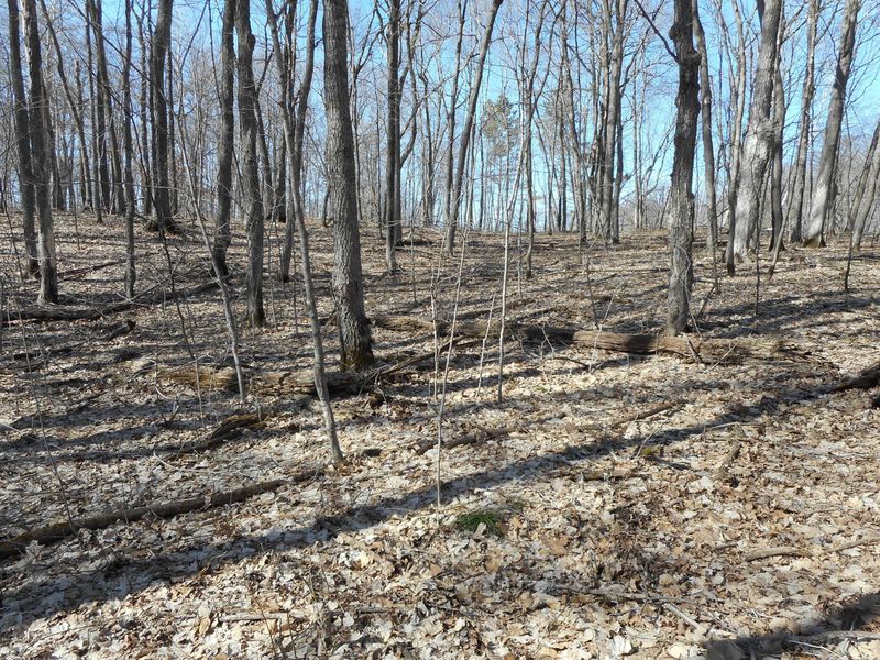 Lot2 Blk2 Campfire Rd, Vergas, MN 56587