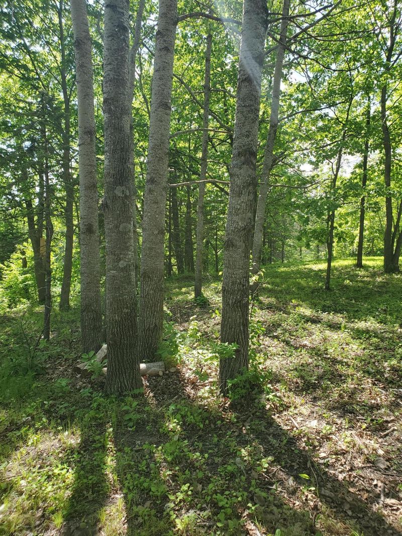 24708 Emery Dr, Erhard, MN 56534