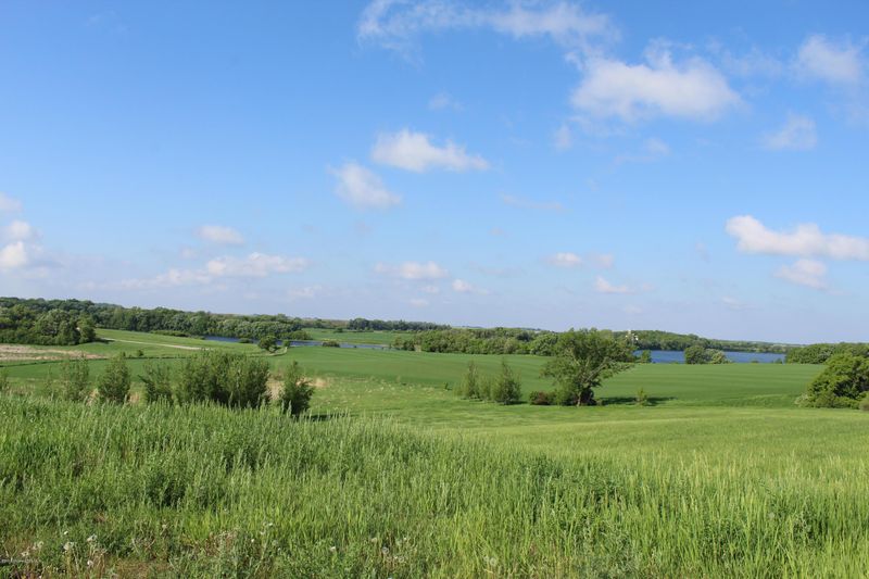 Tract C County Hwy 25, Fergus Falls, MN 56537