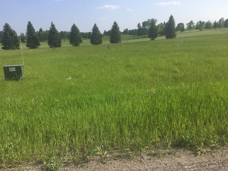 114 Golf Course Rd, Elbow Lake, MN 56531