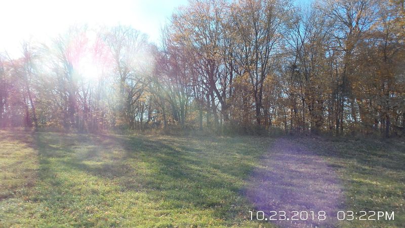 Xxx 312th Ave, Underwood, MN 56586