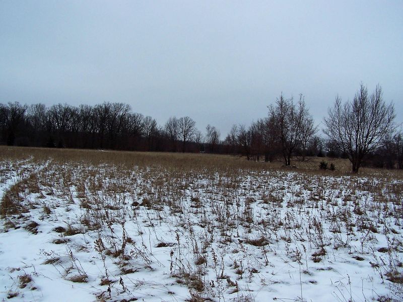 Tbd 121st Ave, Wadena, MN 56482