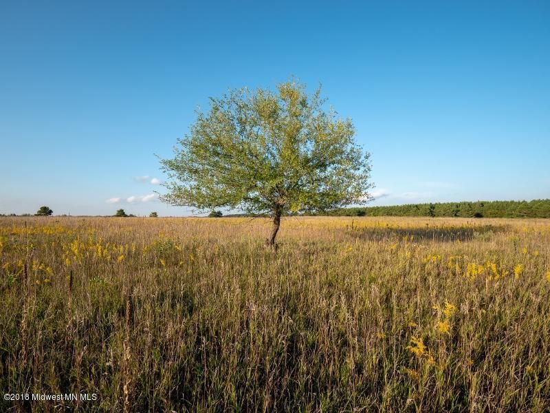 Tbd County Hwy14, New York Mills, MN 56567