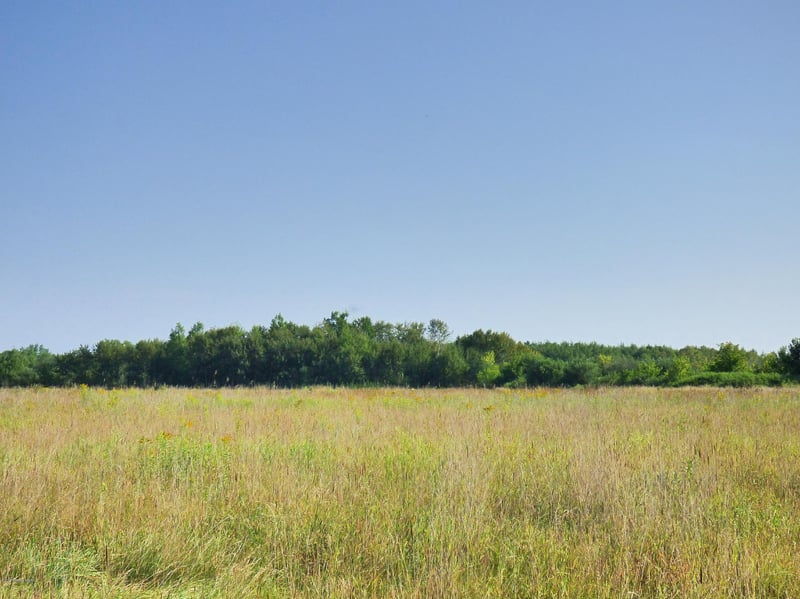 Xxxx 405th St, Bluffton, MN 56518
