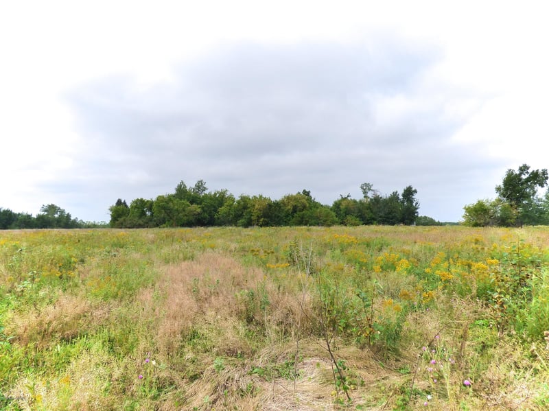 Xxxx 405th St, Bluffton, MN 56518