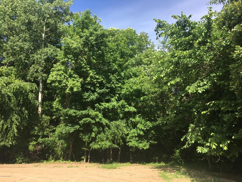 Tbd Winslow Ln, Richville, MN 56576
